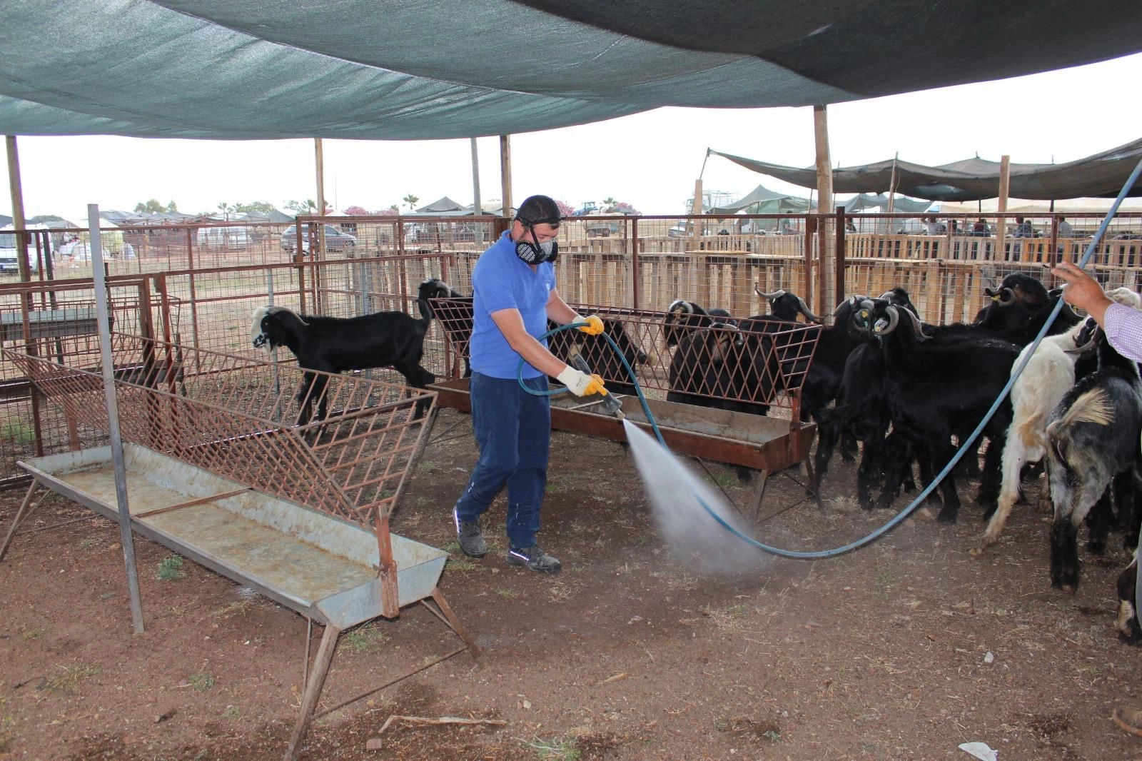 Antalya'da bayram öncesi yoğun ilaçlama