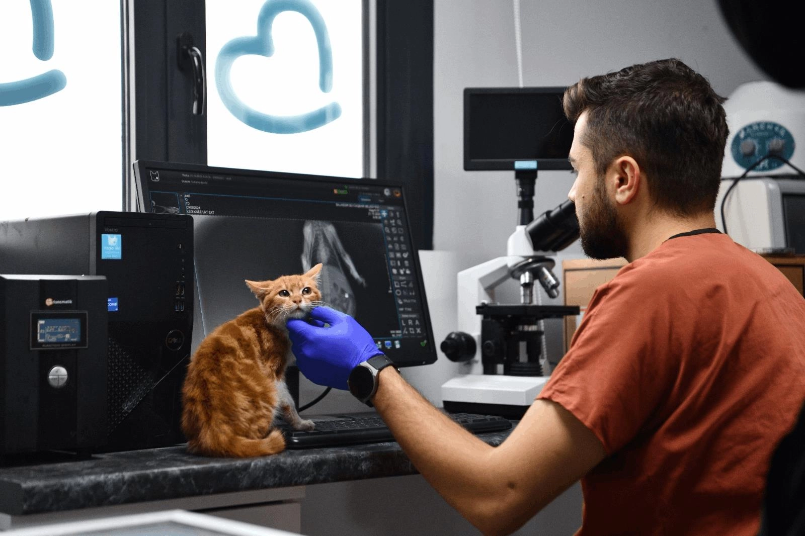 Balıkesir Büyükşehir’den can dostlara tam destek