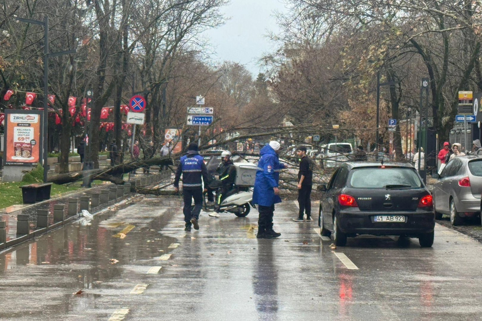 Kocaeli Büyükşehir'de lodos müdahalesi