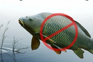 Adana’da sazangillerin avcılığına 31 Mayıs'a yasak!