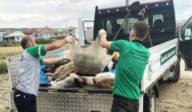 Bursa İnegöl’de 300 ton kurban atığı toplandı