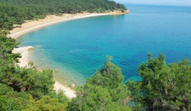 CHP’li Ün’den TBMM’ye Saros önergesi