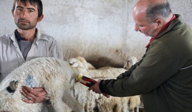 Hayvan dostu Talas’ta anlamlı destek