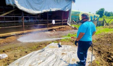 Sakarya’da 16 ilçede vektörle mücadeleye devam