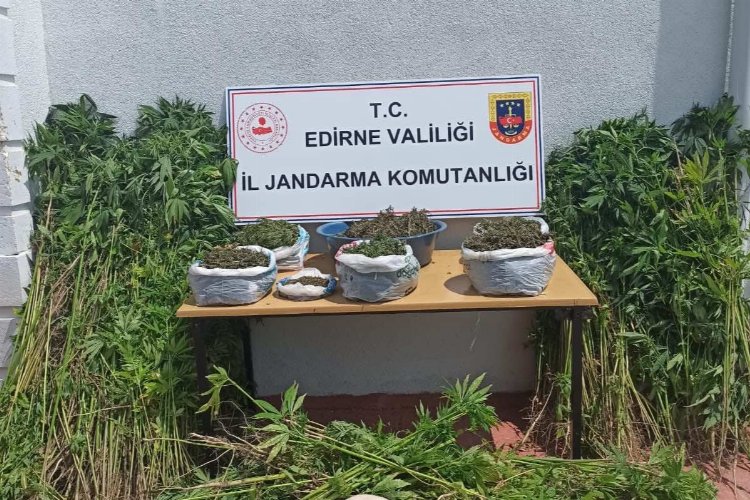 Edirne İl Jandarma Komutanlığı ekipleri Süloğlu’nda bir operasyonda gerçekleştirdi. Erdoğan