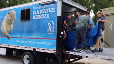 Dünyanın önde gelen lojistik sağlayıcısı şirket, 2023 yılında gerçekleştirdiği en