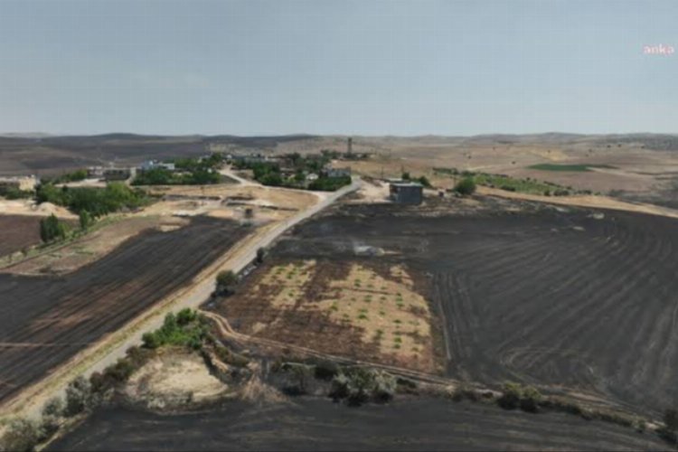 Ak Parti Mardin Milletvekili Dr. Muhammed Adak, Mardin ve Diyarbakır’da