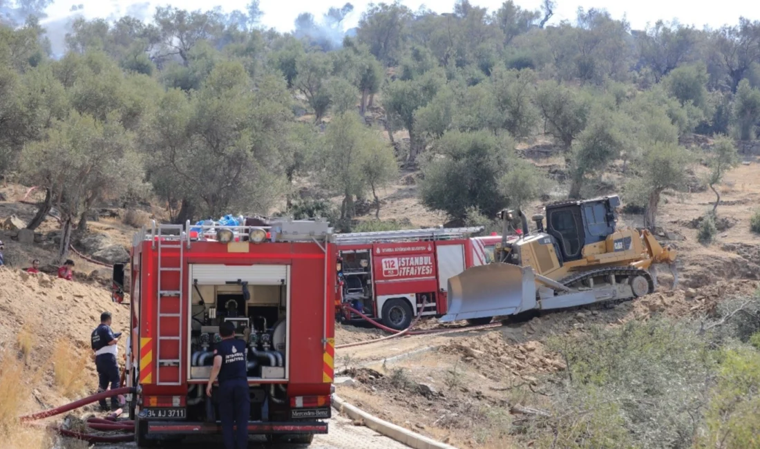 İstanbul Büyükşehir Belediyesi ekipleri, İzmir’deki orman yangınına müdahalede aktif görev