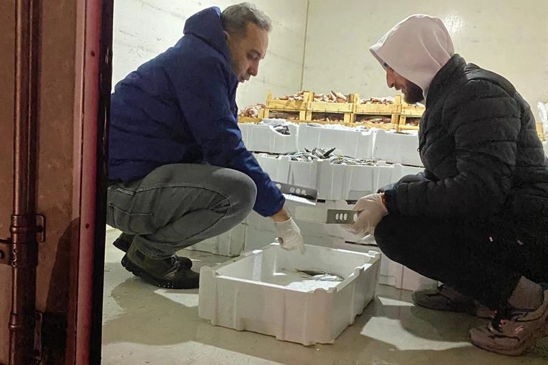 Bursa’da yapılan kontrollerde son 1,5 ayda 5 tondan fazla balığa