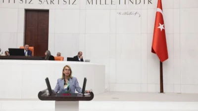 CHP Muğla Milletvekili Süreyya Öneş Derici, TBMM Plan Bütçe Komisyonu’nun