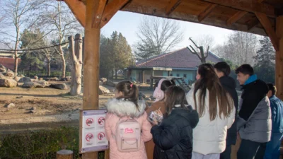 Bursa Karacabey Belediyesi, genç sporcuların sosyal ve kültürel gelişimlerine katkı