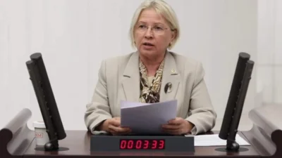 CHP Tekirdağ Milletvekili Nurten Yontar, emekli maaşlarının yetersiz olduğunu belirterek,