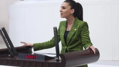 Muğla Milletvekili Gizem Özcan, tarımsal desteklemelerin yetersizliği nedeniyle azalan narenciye