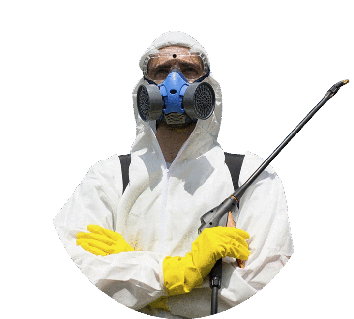 Ankara'da haşere sorunlarıyla başa çıkmak, şehirdeki pek çok ev sahibi