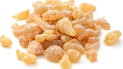 Akgünlük sakızı, hem sağlık hem de günlük yaşamda sıkça kullanılan