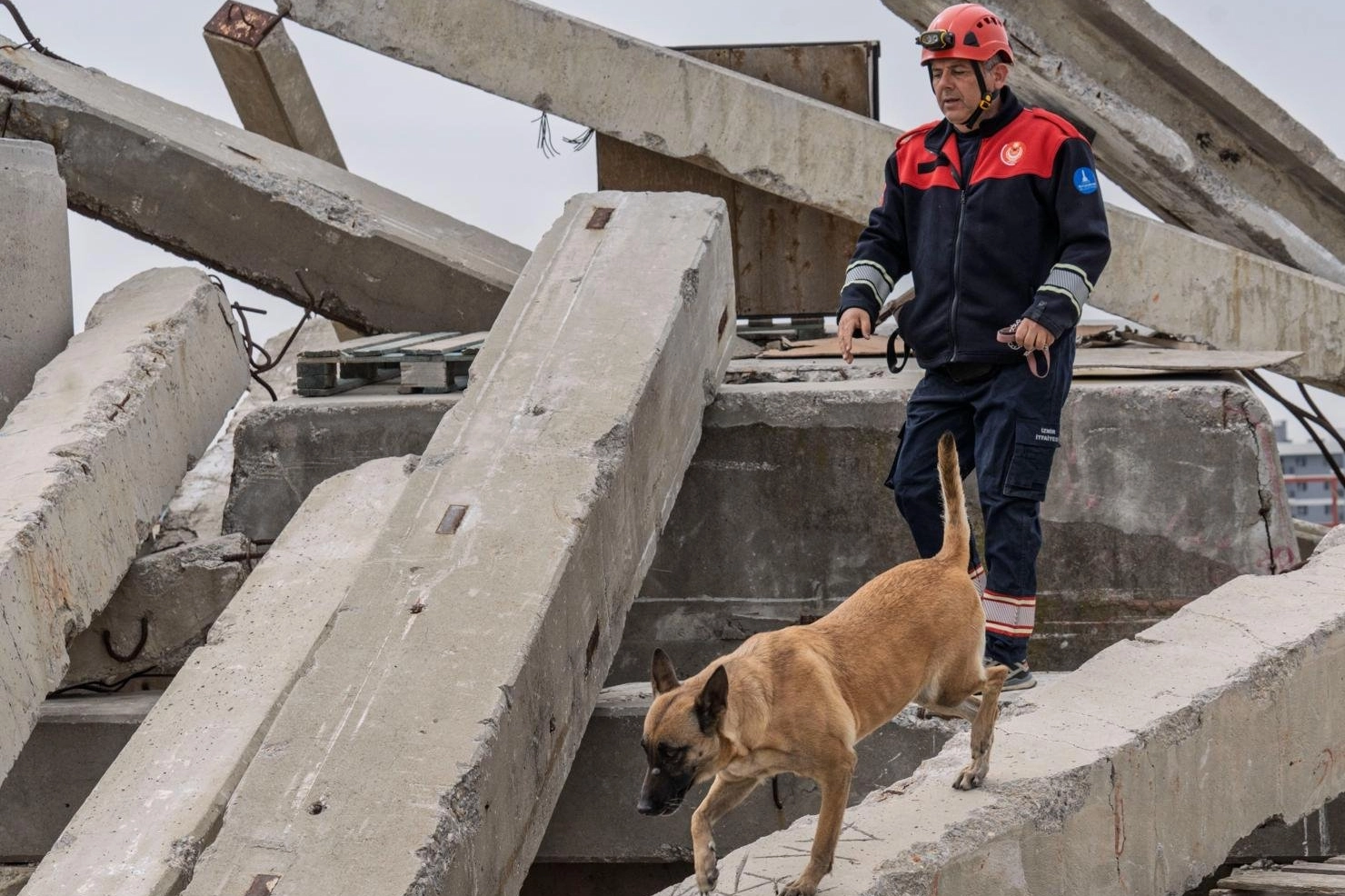 İzmir Büyükşehir Belediyesi İtfaiye Dairesi Başkanlığı’nın arama kurtarma köpekleri, afetlerde