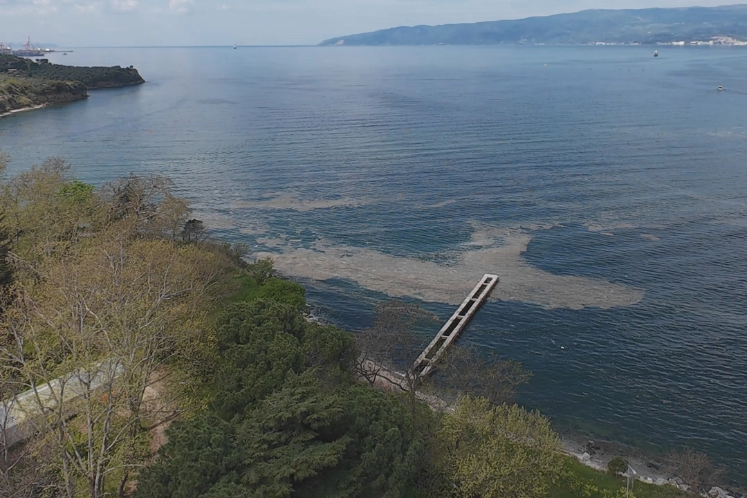 Son yıllarda Marmara Denizi’ni ve özellikle Gemlik Körfezi’ni etkisi altına