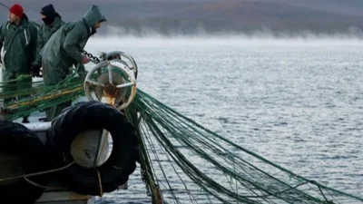 Tarım ve Orman Bakanlığı tarafından 251 milyon 273 bin 225