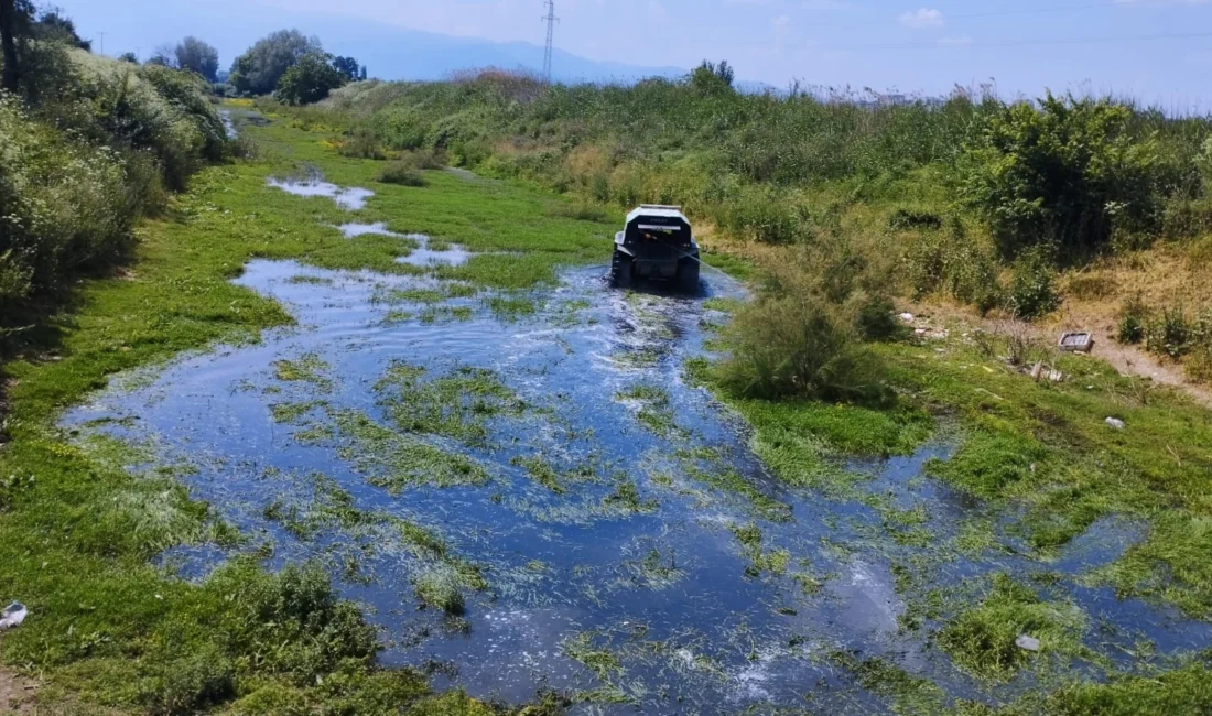 Bursa Büyükşehir Belediyesi’nin sinek ve haşerelerle mücadele çalışmaları, kentin dört