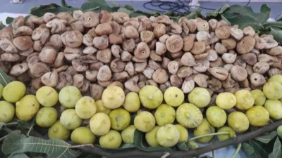 Çekirdeksiz kuru üzüm, kuru kayısı ve kuru incirde 2024-2025 sezonunun