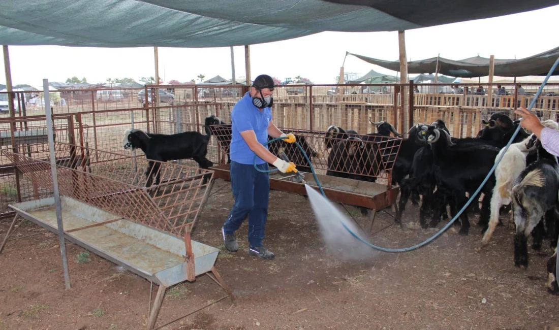 Antalya Büyükşehir Belediyesi, Çevre Koruma ve Kontrol Dairesi Başkanlığı’na bağlı