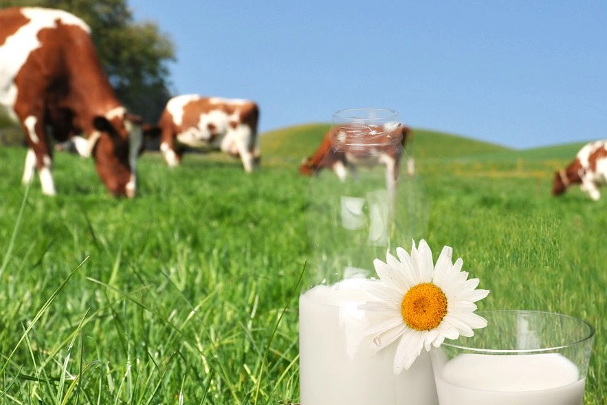 Tarım ve Orman Bakanı İbrahim Yumaklı, 1 Haziran Dünya Süt