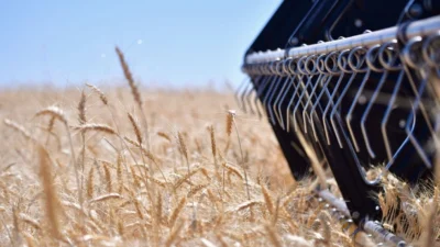 Edirne Milletvekili ve Ziraat Mühendisi Ediz Ün, TMO’nun 2025 buğday