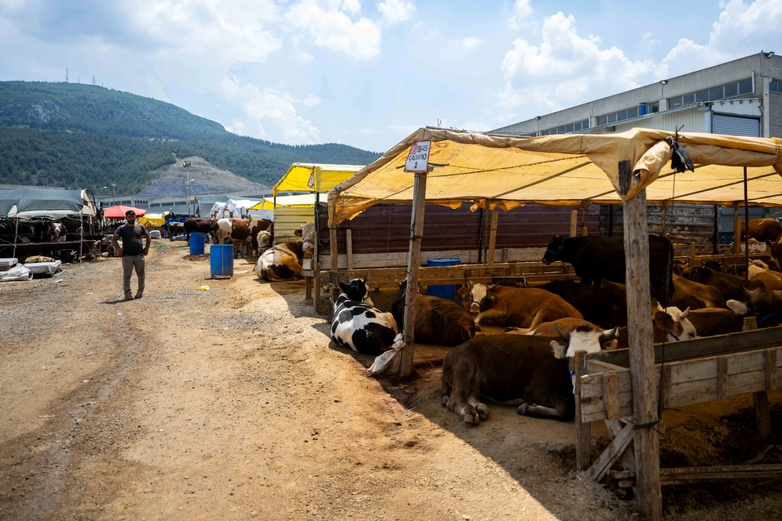 Bornova Belediyesi, Kurban Bayramı için Işıkkent’te kurduğu modern Kurban Pazarı’nı