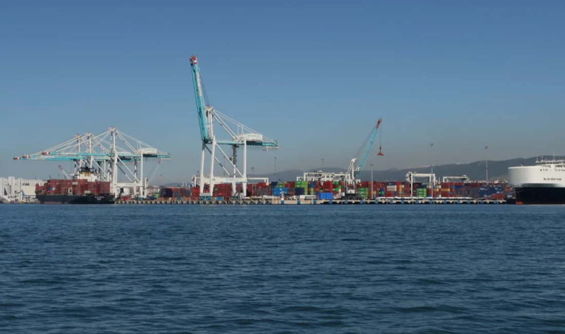 KocaeliBüyükşehir Belediyesi Çevre Koruma ve Kontrol Dairesi Başkanlığı, günlük yaptığı