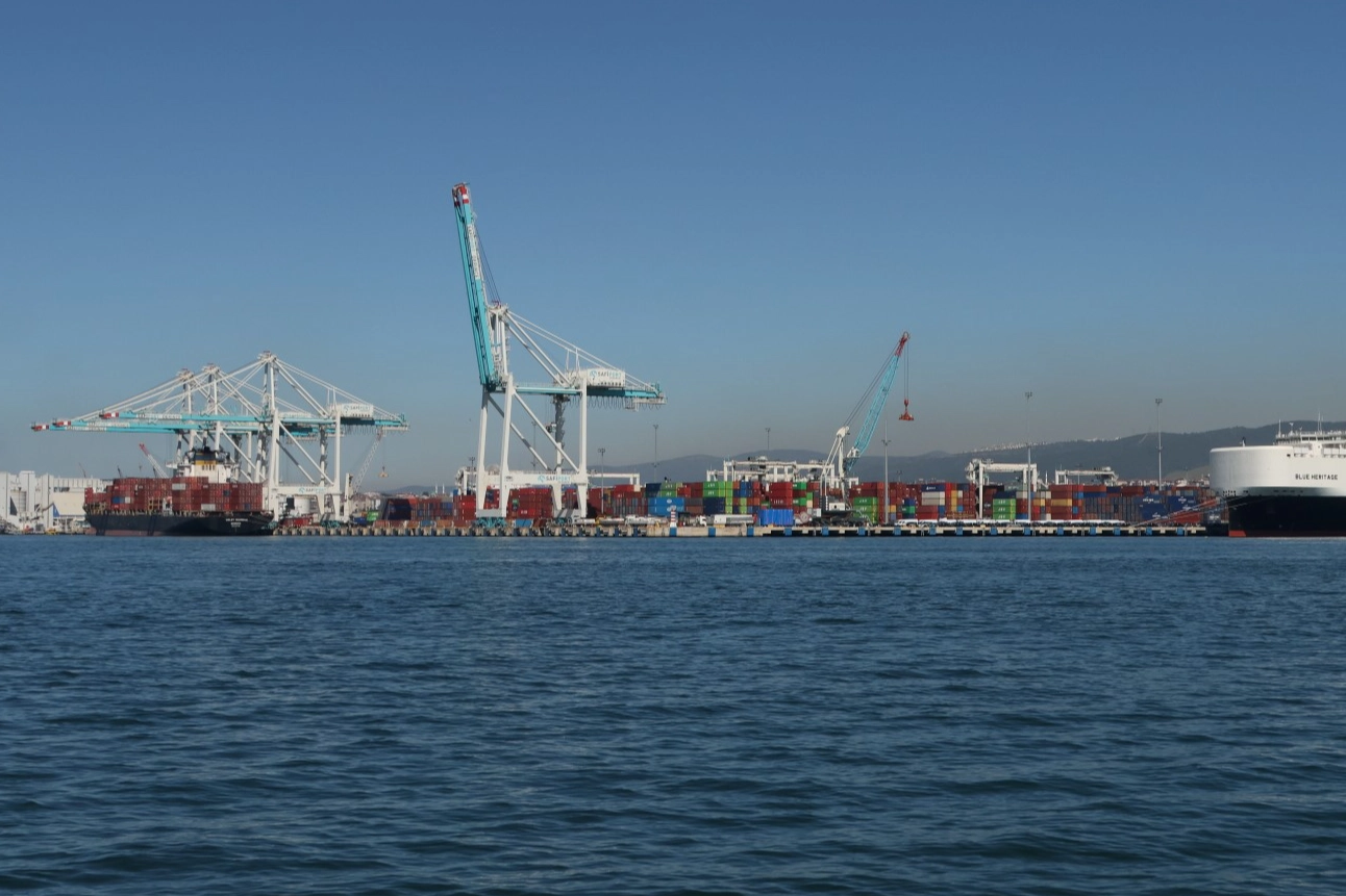 KocaeliBüyükşehir Belediyesi Çevre Koruma ve Kontrol Dairesi Başkanlığı, günlük yaptığı