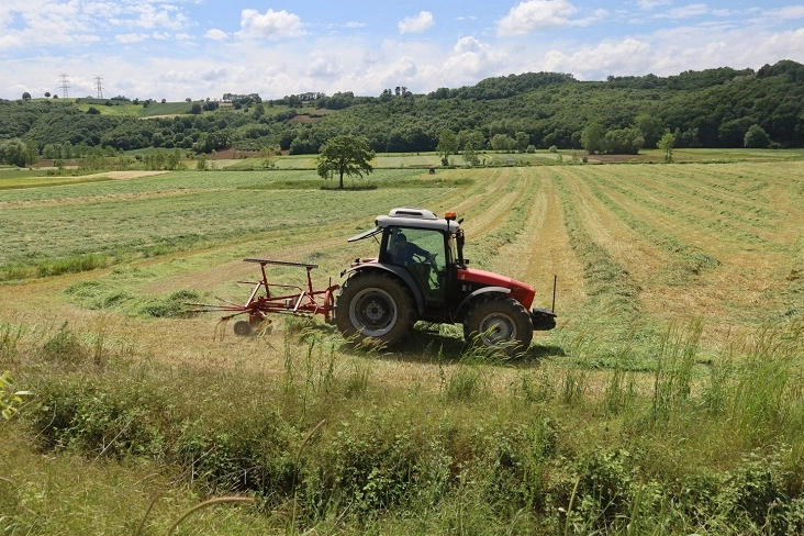 Kocaeli Büyükşehir Belediyesi, tarım ve hayvancılığı geliştirmek amacıyla hayata geçirdiği
