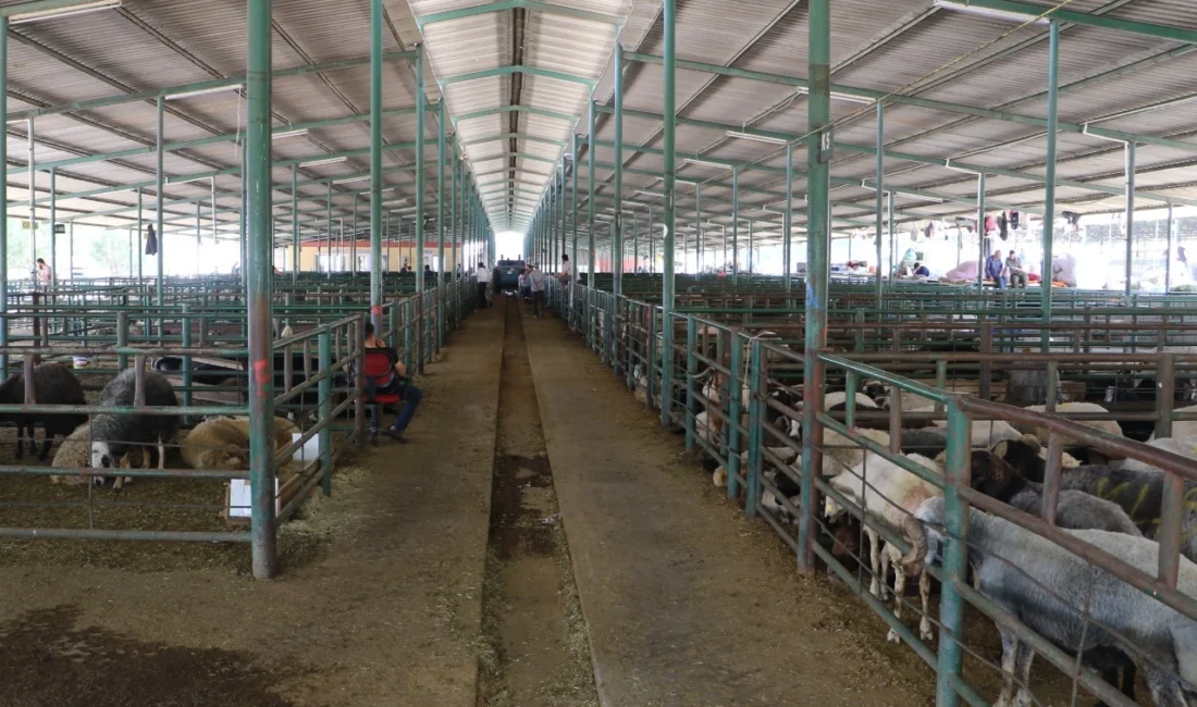 Manisa Büyükşehir Belediyesi, vatandaşların Kurban Bayramı’nı rahat ve huzurlu geçirmesi