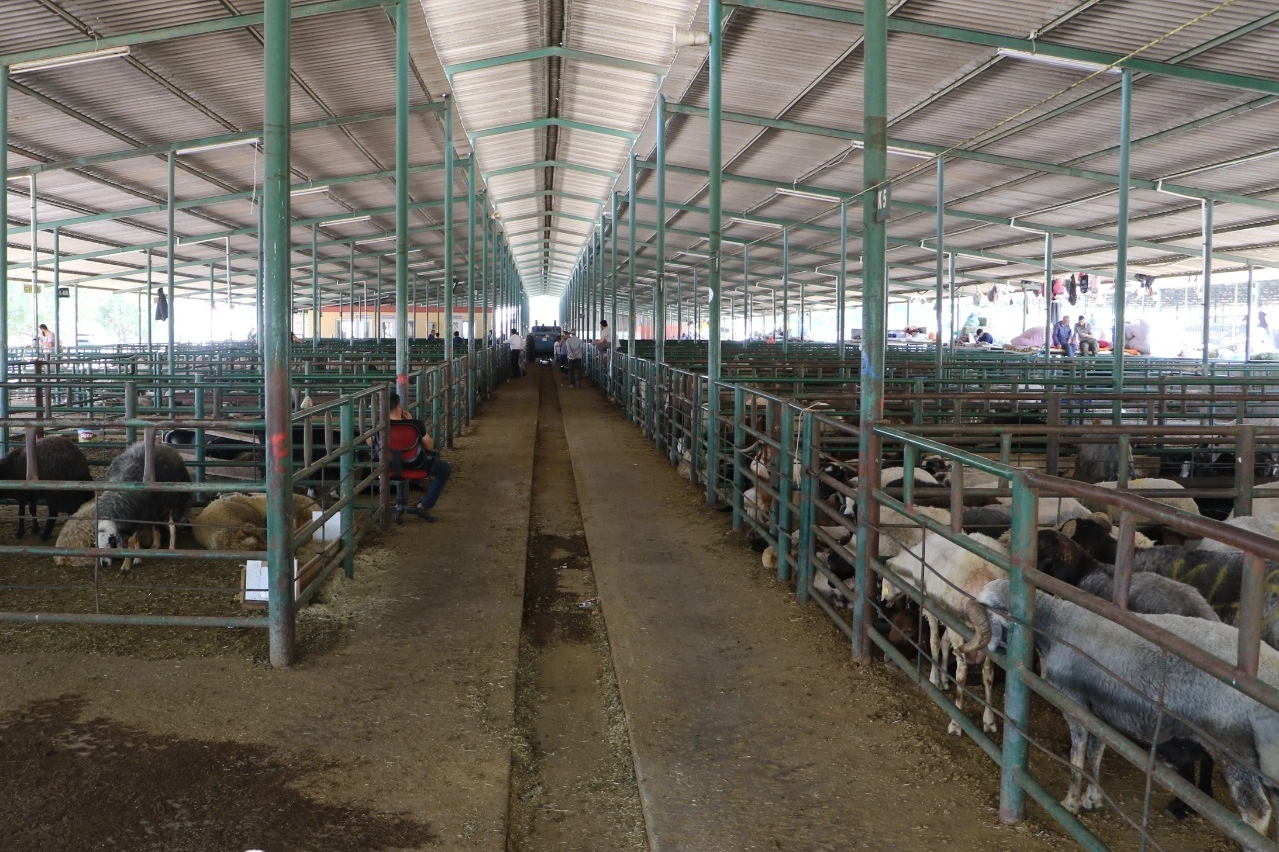 Manisa Büyükşehir Belediyesi, vatandaşların Kurban Bayramı’nı rahat ve huzurlu geçirmesi