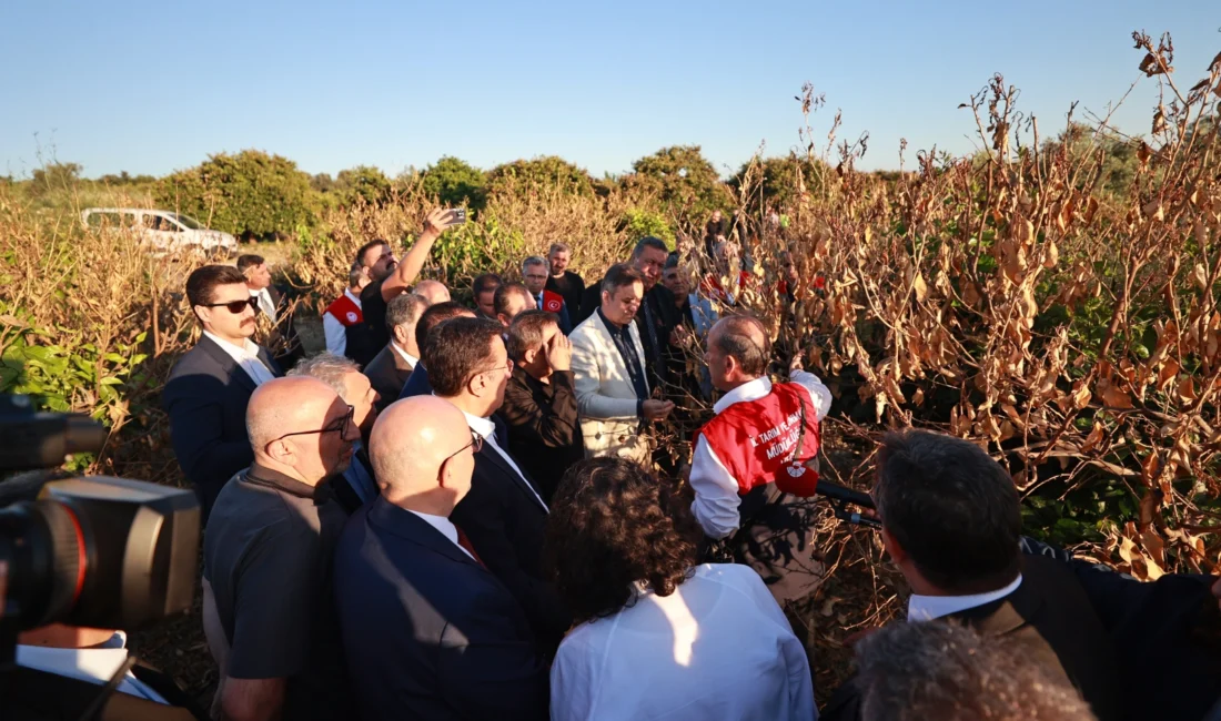 TBMM Zirai Don Olayını Araştırma Komisyonu, Mersin’in Akdeniz ilçesinde Nisan