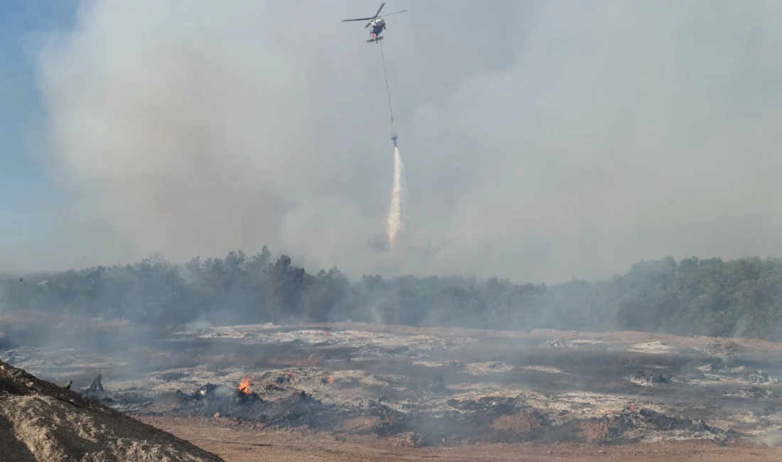 Bursa Orman Bölge Müdürlüğü, yüksek sıcaklık, düşük nem ve rüzgarın