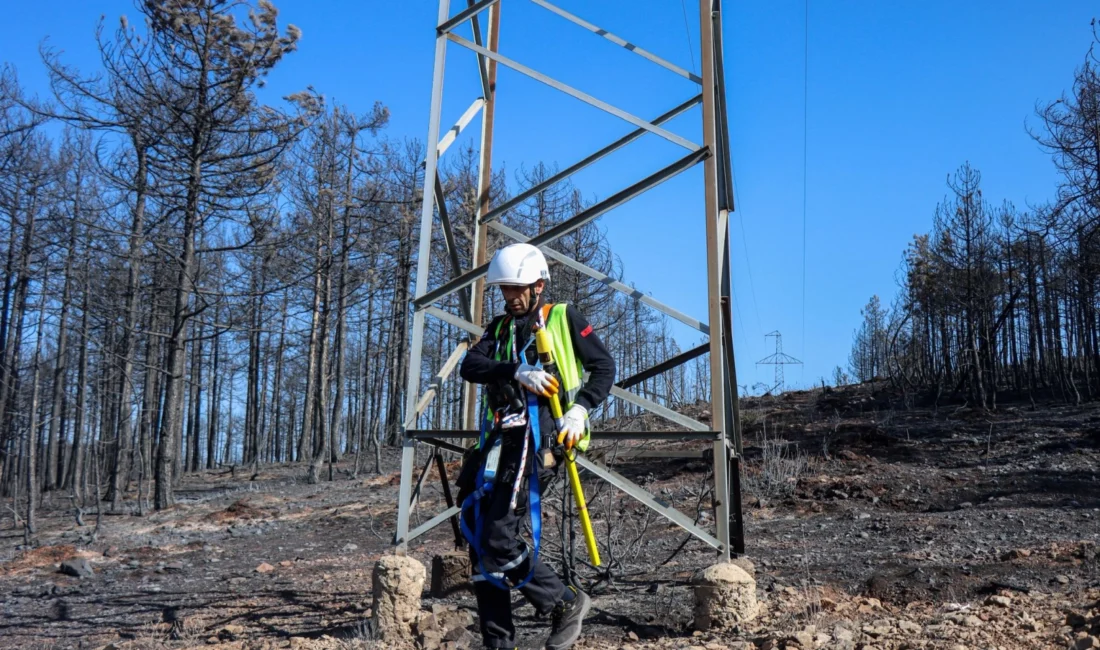 Son günlerde ülke genelinde pek çok farklı noktada gerçekleşen orman