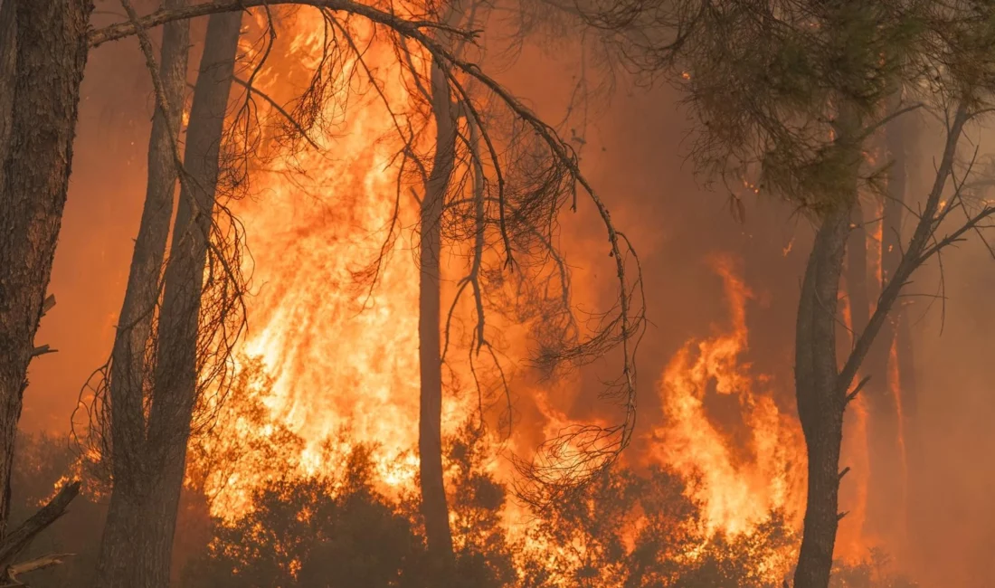 İzmir’in Gaziemir ilçesinde çıkan orman yangınına, İzmir Büyükşehir Belediyesi İtfaiye