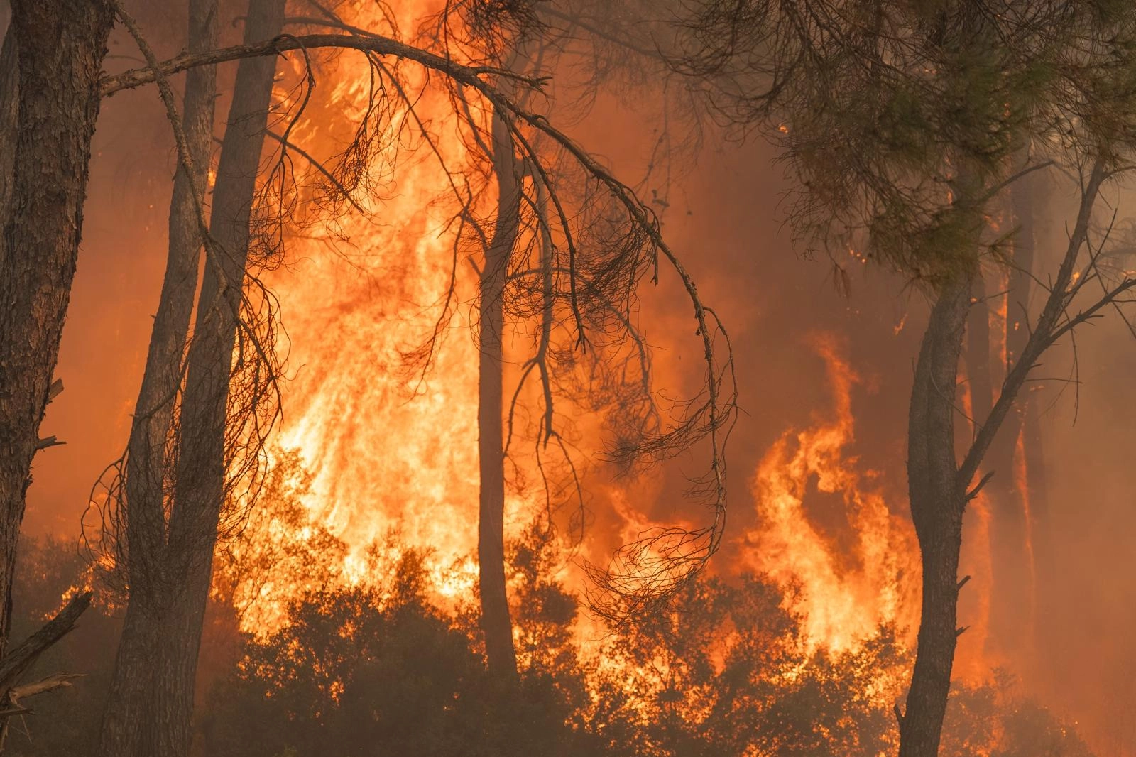 İzmir’in Gaziemir ilçesinde çıkan orman yangınına, İzmir Büyükşehir Belediyesi İtfaiye