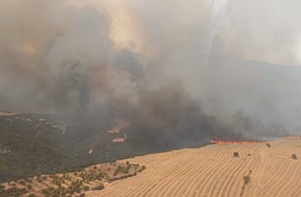 Orman Genel Müdürlüğü, Manisa Saruhanlı, Tekirdağ Şarköy ve Çanakkale Ayvacık’ta