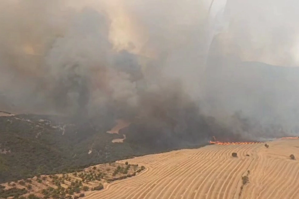 Orman Genel Müdürlüğü, Manisa Saruhanlı, Tekirdağ Şarköy ve Çanakkale Ayvacık’ta