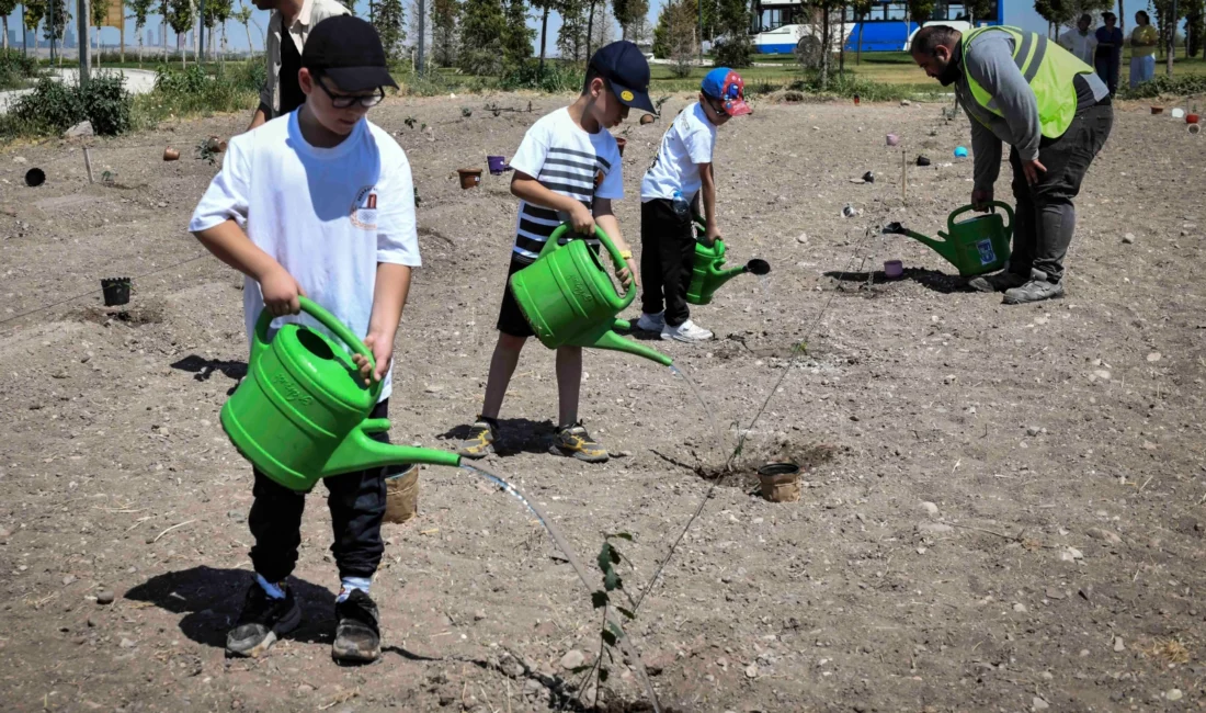 TEMA Vakfı ve Ankara Büyükşehir Belediyesi bünyesinde bulunan 18 Çocuk