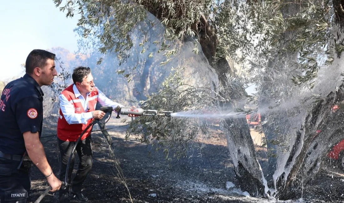 Hava sıcaklıklarının mevsim normallerinin üzerinde seyretmesi insan sağlığını tehdit ederken