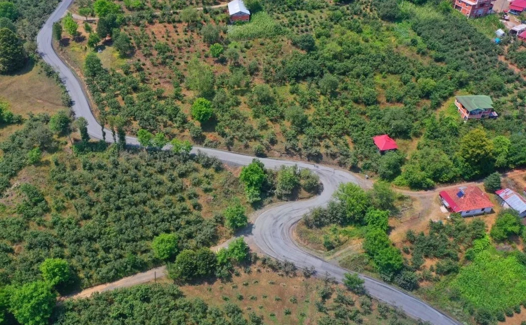 Ordu’nun Akkuş ilçesinden Samsun’a bağlantı sağlayan yolda asfalt çalışmaları devam