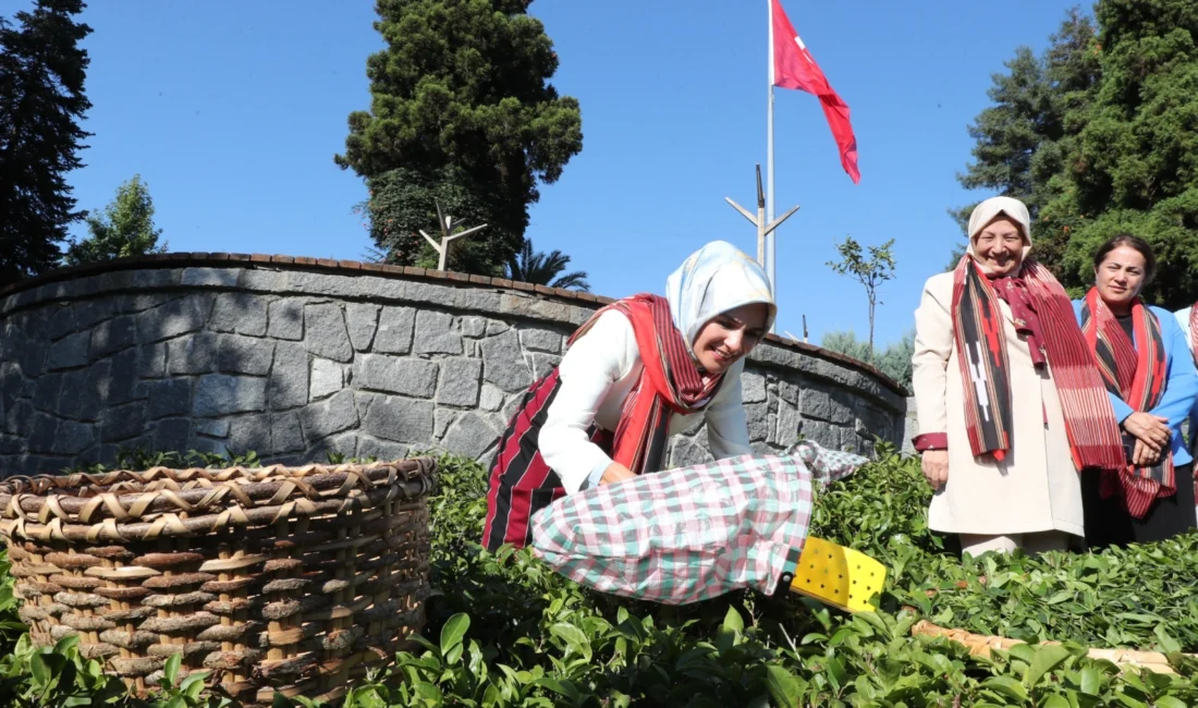 Aile ve Sosyal Hizmetler Bakanı Mahinur Özdemir Göktaş, “Aile Yılı”