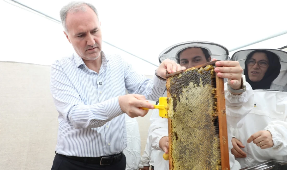 Bursa İnegöl’de 12 bin koloni ile yapılan bal üretiminde hasat