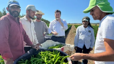 Bursa Yenişehir Belediye Başkanı Ercan Özel, tarlada biber toplayan işçileri