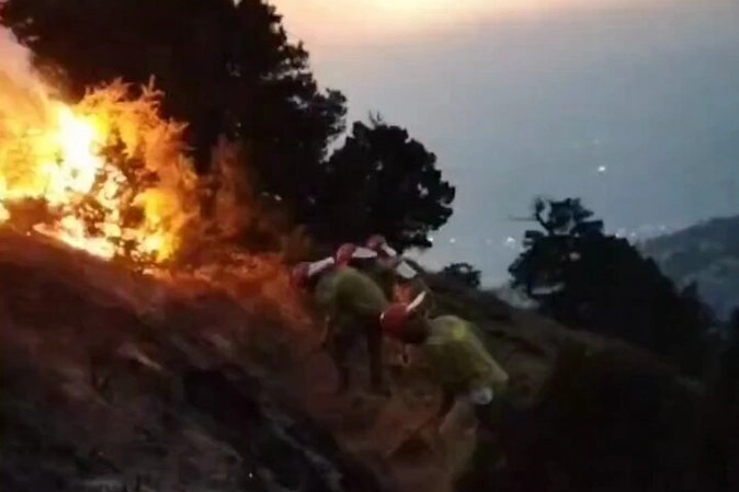Orman Genel Müdürlüğü, Denizli’nin Pamukkale ilçesinde orman dışı alanda başlayarak