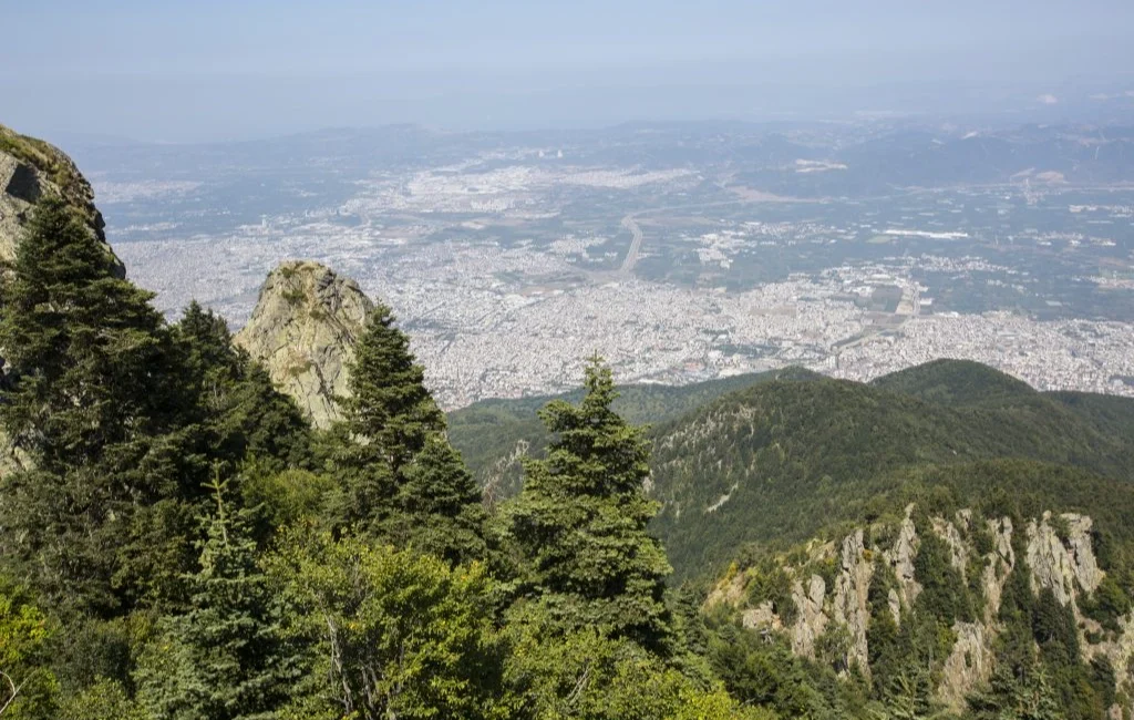 Gazeteci Yazar Mesut Demir, Orman Genel Müdürlüğü’nün Özel Ağaçlandırma projesinde