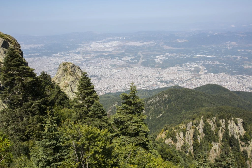 Gazeteci Yazar Mesut Demir, Orman Genel Müdürlüğü’nün Özel Ağaçlandırma projesinde