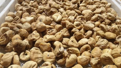 Cennet meyvesi kuru incirde gıda güvenliğini sağlamak, kurutma sırasında toprakla